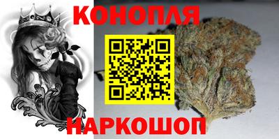 сатива Краснознаменск