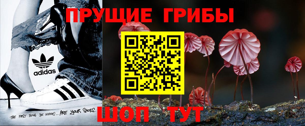 Трёхгорный  Галлюциногенные грибы Psilocybine cubensis  Вход с VPN 